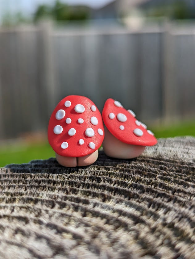 The Funky Fungi Desk Friends